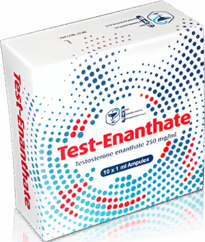 HT-Pharma – Test-Enanthate – 250mg/10ml